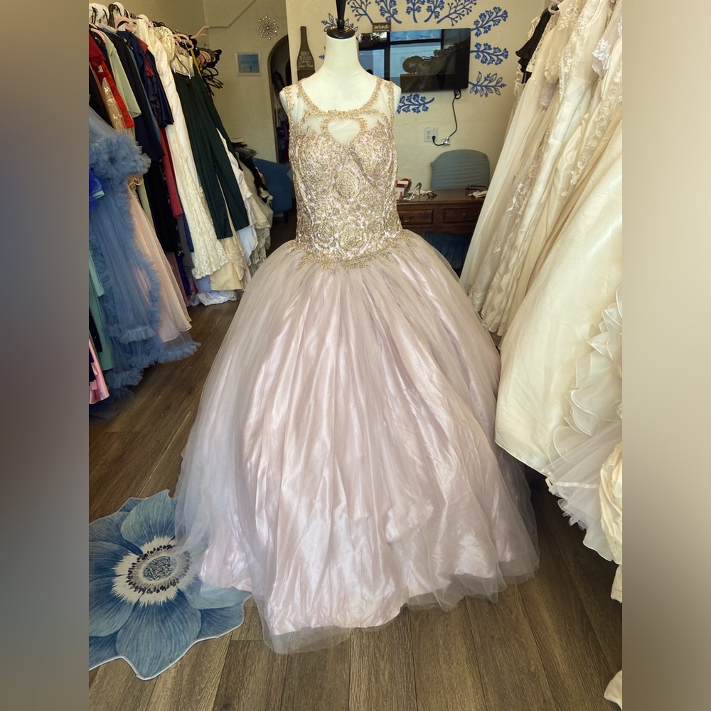 NWT Quinceańera/Sweet 16 Gown